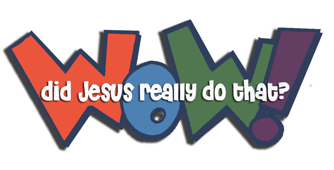 Wow! Did Jesus Really Do That? Logo